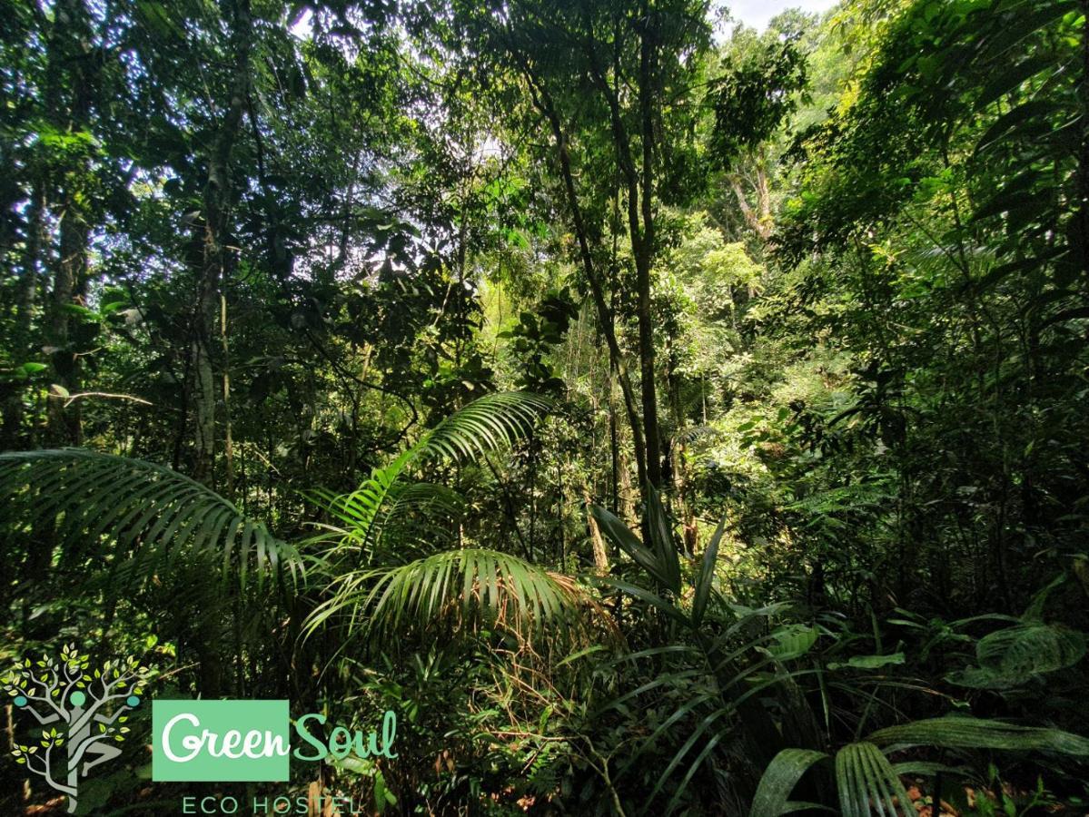 Greensoul Hospedagem Ubatuba Esterno foto