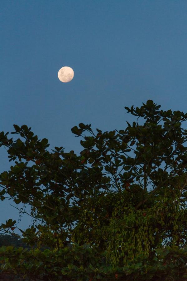Greensoul Hospedagem Ubatuba Esterno foto